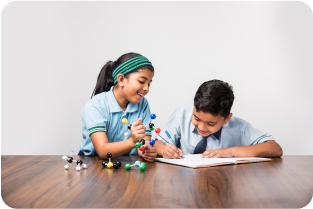 Whole Life Insurance